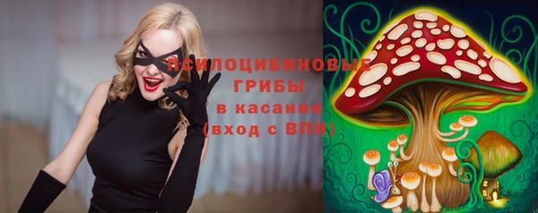 трава Белокуриха