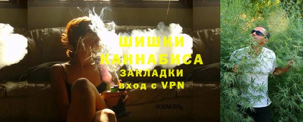 трава Белокуриха