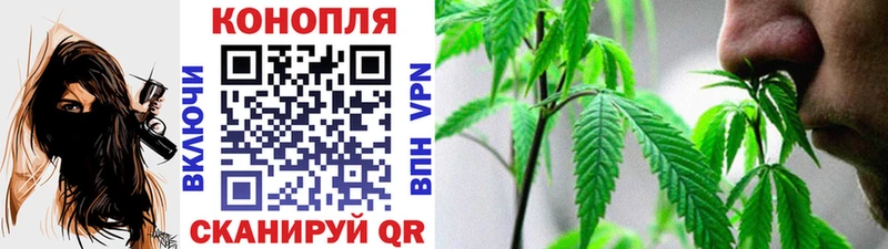 Бошки марихуана White Widow Вятские Поляны